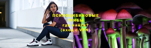 шишки Володарск