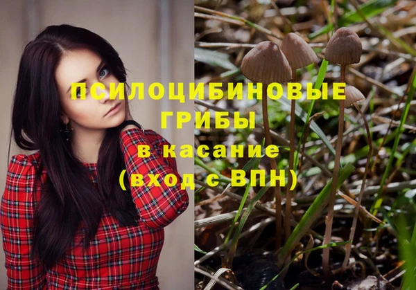 прущая мука Верея