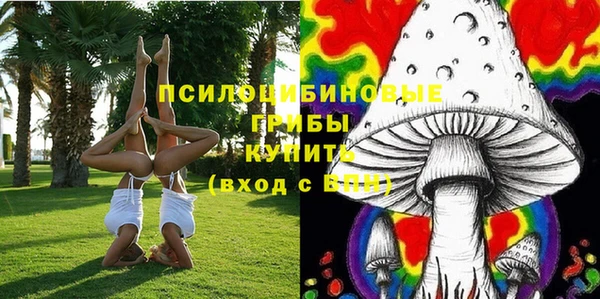 прущая мука Верея