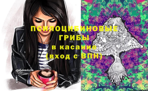 гидра Верхнеуральск